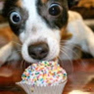 Meet your Posher, Alena